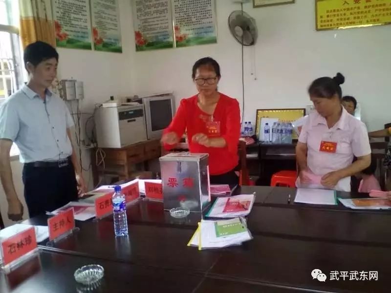 武东镇全面完成妇代会改建妇联工作(图6)