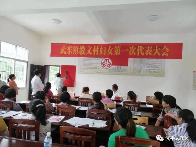 武东镇全面完成妇代会改建妇联工作(图7)