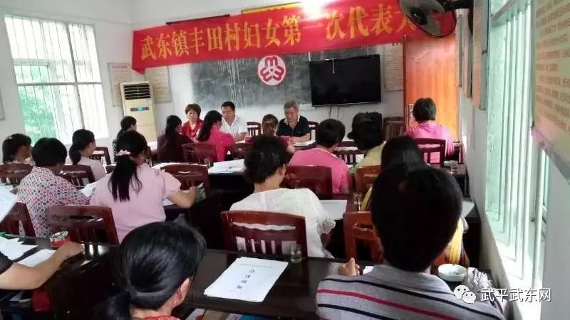 武东镇全面完成妇代会改建妇联工作(图8)