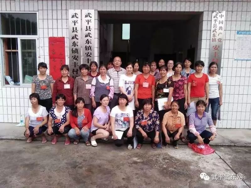 武东镇全面完成妇代会改建妇联工作(图9)