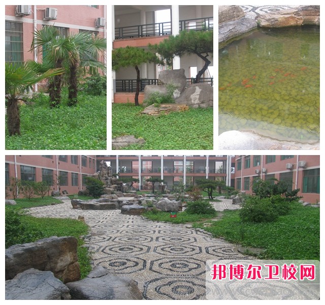 山东医药技师学院2025年有哪些专业(图1)