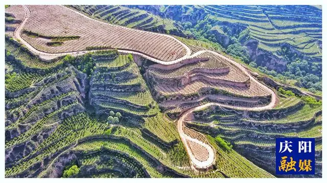 创新推动 多措并举 甘肃庆阳林草工作亮点频出传佳绩(图1)