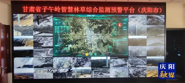 创新推动 多措并举 甘肃庆阳林草工作亮点频出传佳绩(图2)