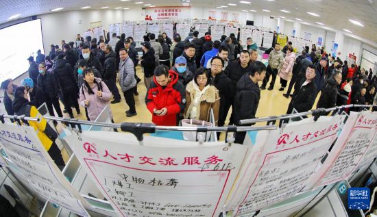 周末求职招聘忙(图5)