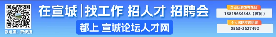 “春风送岗·就在宣城|我市2025年“春风行动”退役军人专场招聘会成功举办(图13)