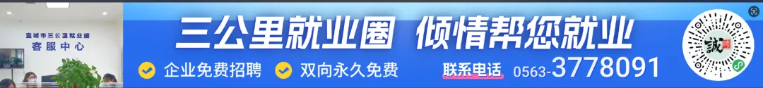 “春风送岗·就在宣城|我市2025年“春风行动”退役军人专场招聘会成功举办(图14)