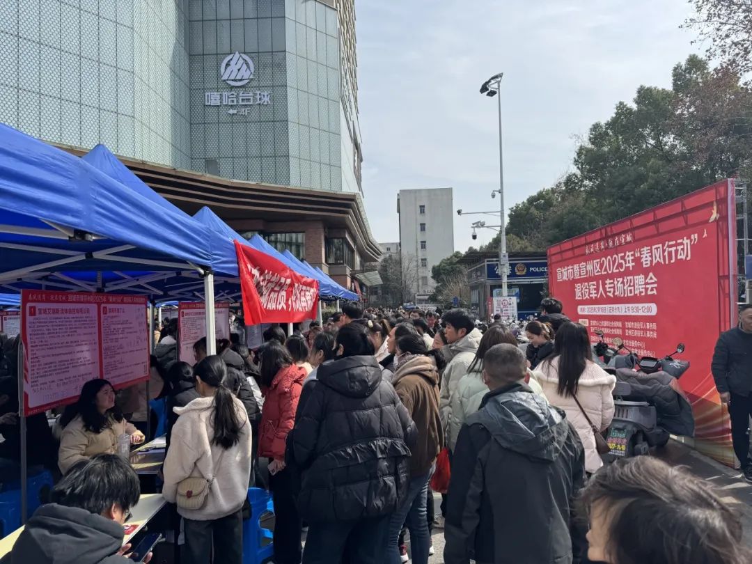 “春风送岗·就在宣城|我市2025年“春风行动”退役军人专场招聘会成功举办(图7)