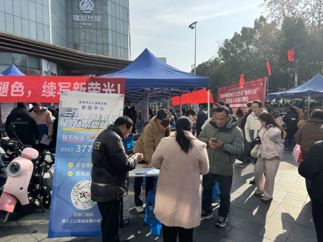 “春风送岗·就在宣城|我市2025年“春风行动”退役军人专场招聘会成功举办(图10)