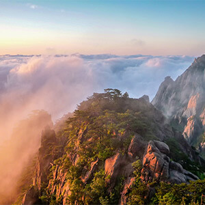 我在公司公司工作14.5年了，公司要给降职，降职也就是降薪了，这种违法吗(图3)
