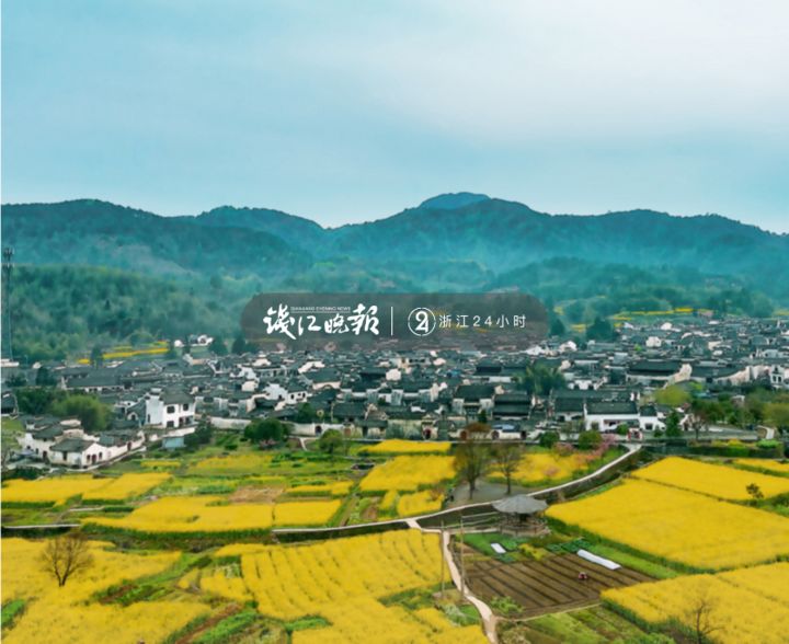 中共中央印发《党政领导干部选拔任用工作条例》；“我从来不炒股”的吴晓波老师要曲线上市？丨浙江早班车(图4)