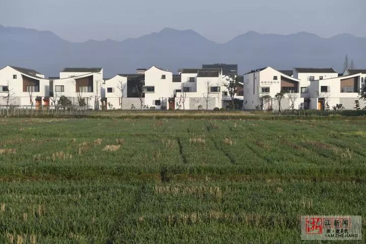 中共中央印发《党政领导干部选拔任用工作条例》；“我从来不炒股”的吴晓波老师要曲线上市？丨浙江早班车(图8)