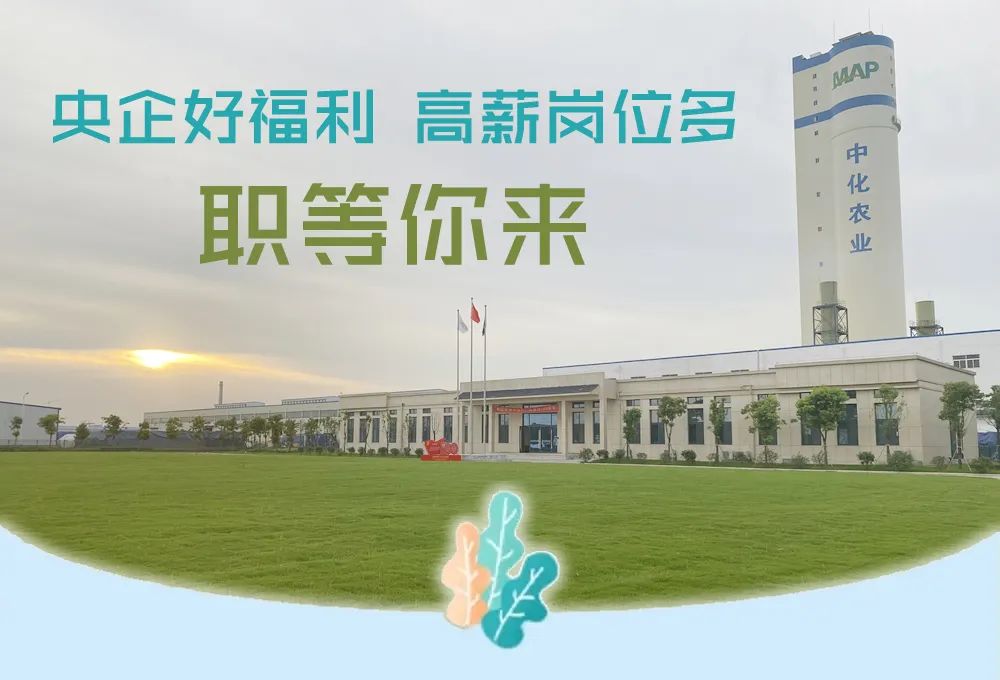 8月4日便民：三湖黄桃、顺风车、求职；观澜学府、学历提升、农技学院、通运考训、吉利汽车、微助、巡特警招聘；房屋出租出售(图15)