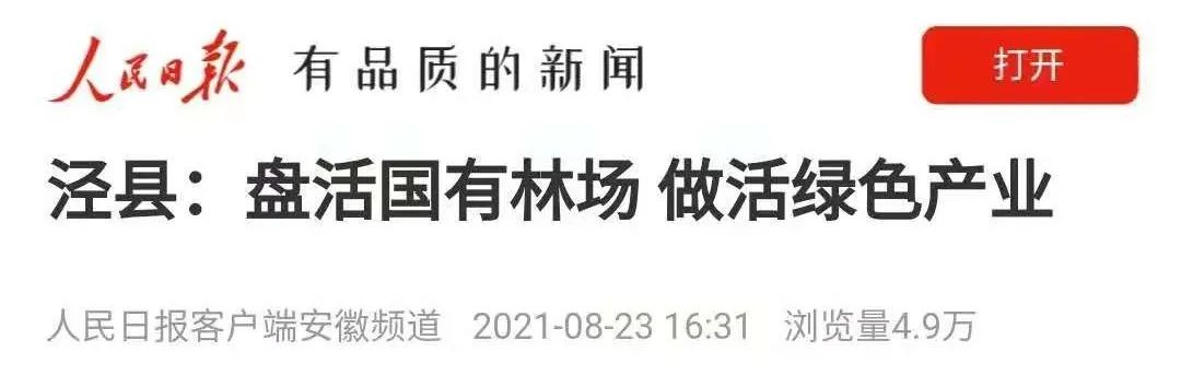 主流媒体看宣城•视听周报(图42)