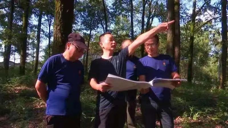 主流媒体看宣城•视听周报(图43)