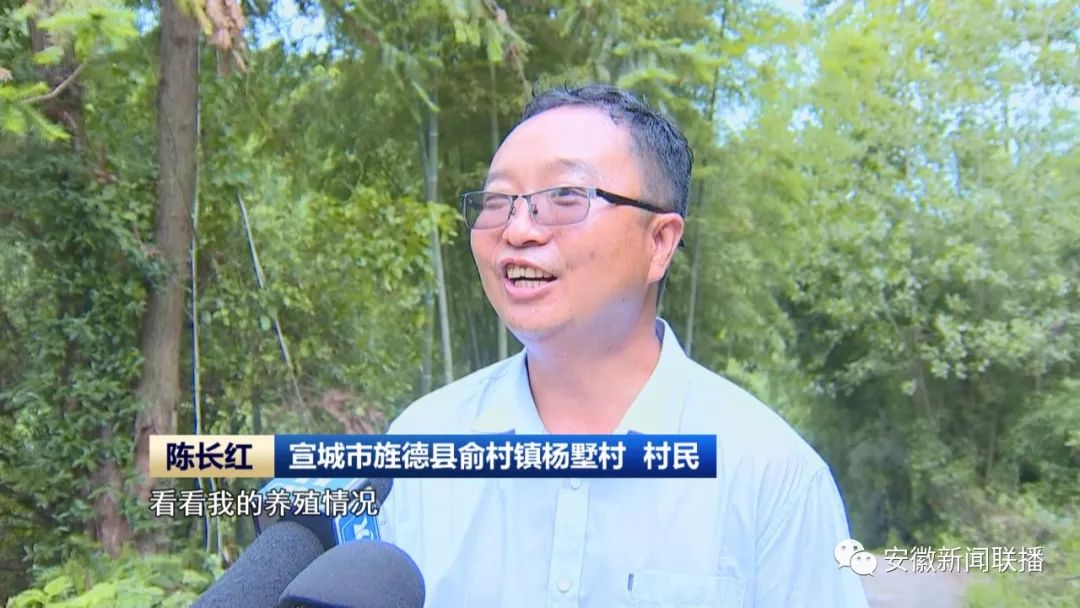 主流媒体看宣城•视听周报(图8)