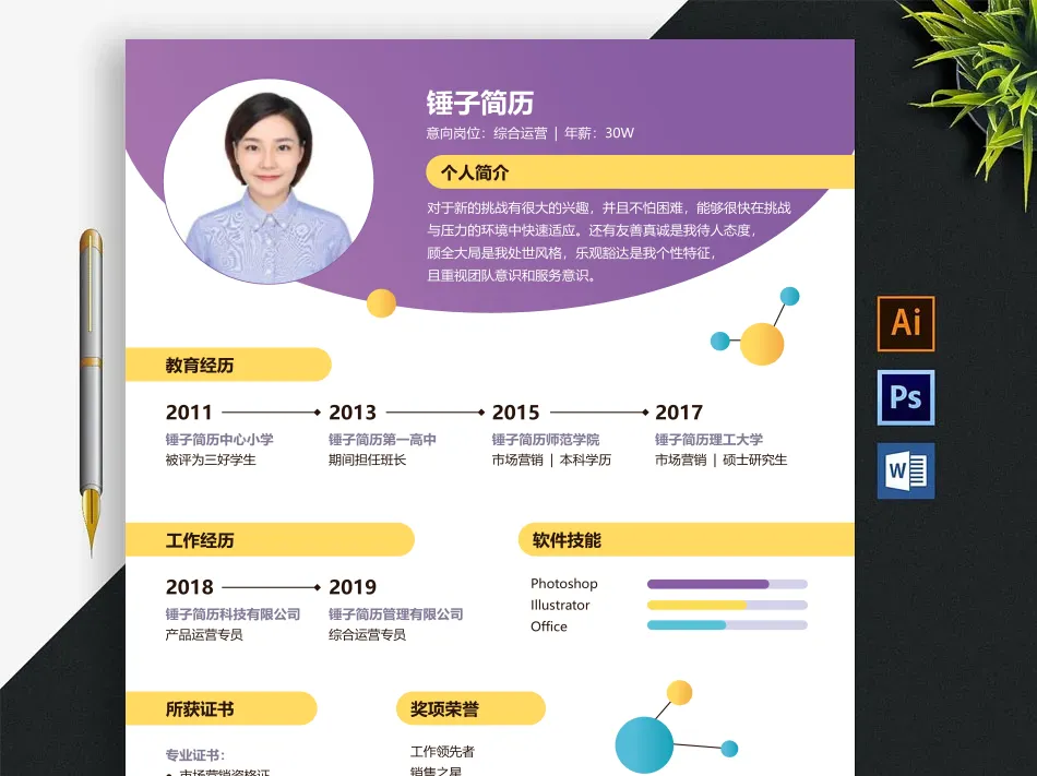 Java开发工程师简历模板范文案例分享（12篇）(图5)