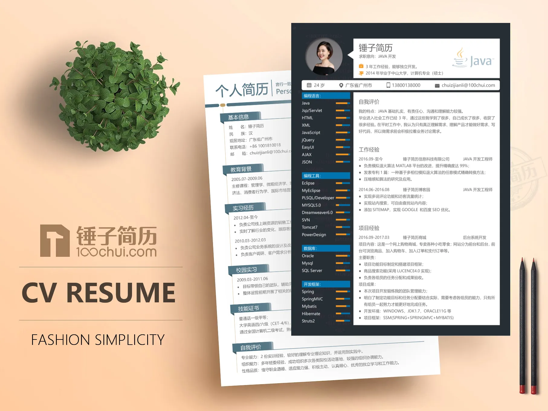Java开发工程师简历模板范文案例分享（12篇）(图7)