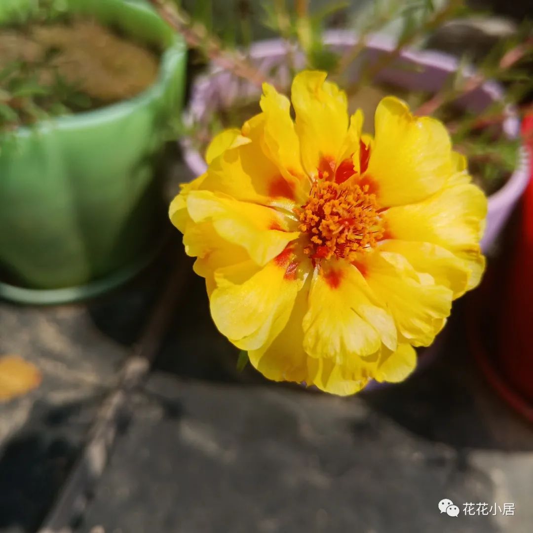 以乐之名，听一次轮回……(图48)