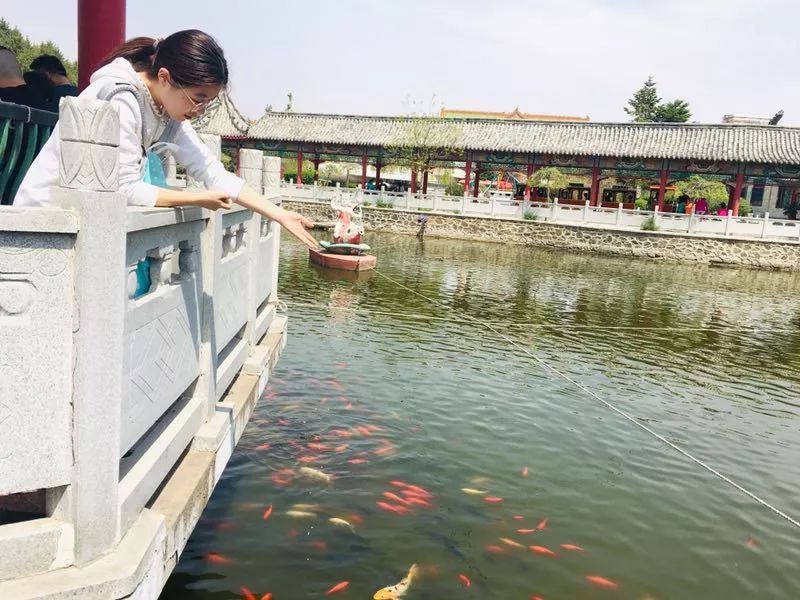 属于你的专访 | 文学院“就业榜样”——王思文(图17)