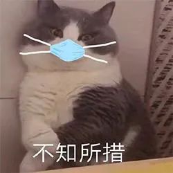 加拿大留学多年，居然过不了英文面试…(图3)