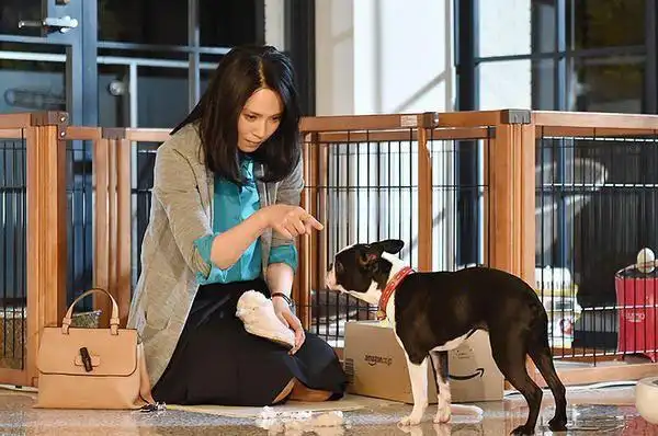 日本女性题材的电视剧50年全回顾(图8)