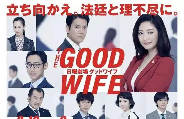 日本女性题材的电视剧50年全回顾(图10)