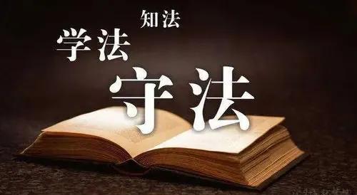 涉嫌走私仿真枪的大学生，给检察官带来了两本证书(图6)