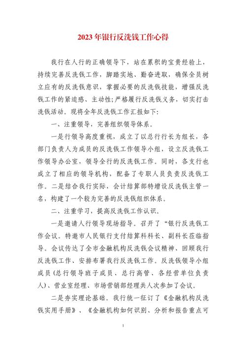 2023年反洗钱工作总结报告 反洗钱工作总结和计划(16篇)(图1)