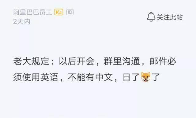 太难了！大公司对留学生的英语要求到底有多高？