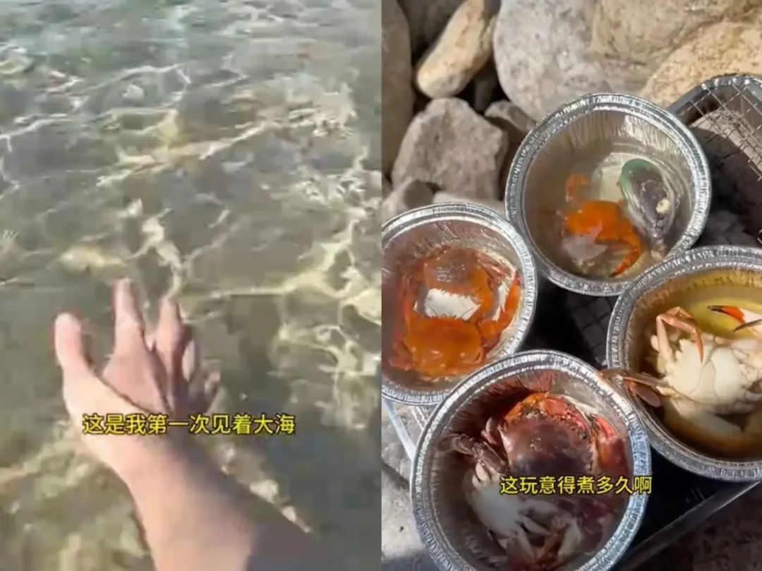 0元城市生存，我把生活过成大型网游(图8)